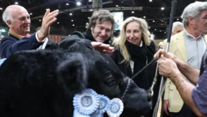 El campo argentino acelera: récord de exportaciones agroindustriales y fuerte salto de la carne vacuna en 2026