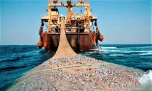 Barco pesca ilegal