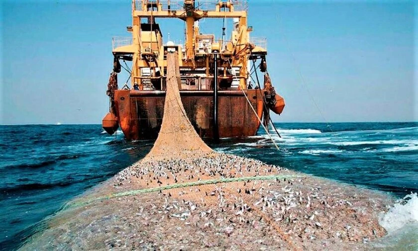 Barco pesca ilegal